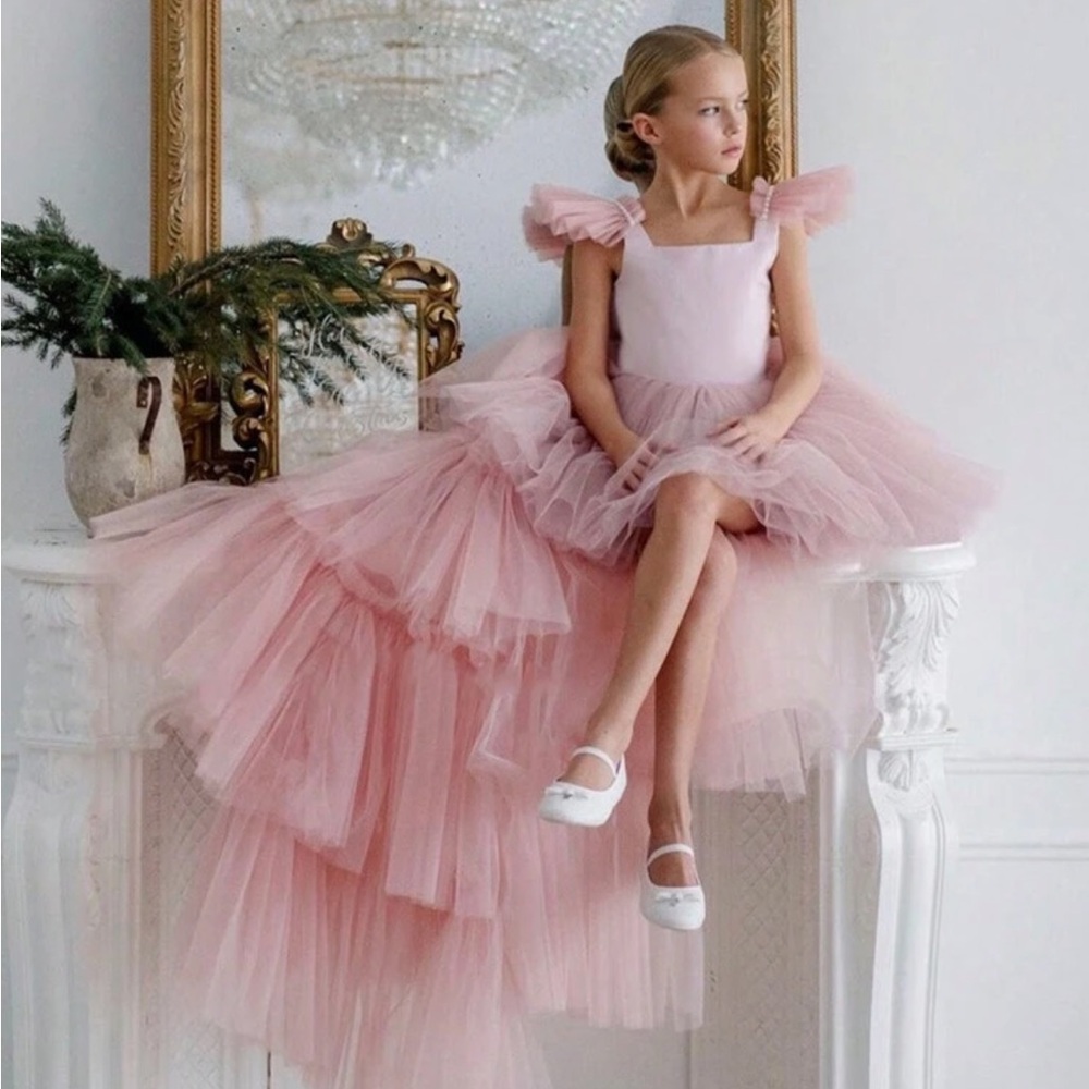Pink Fairy Princess Costume